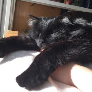 Meet your Posher, Elle